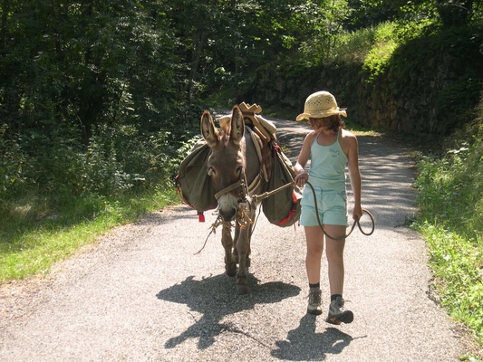 Randonnée dans les les gorges de l'Ardèche avec un âne