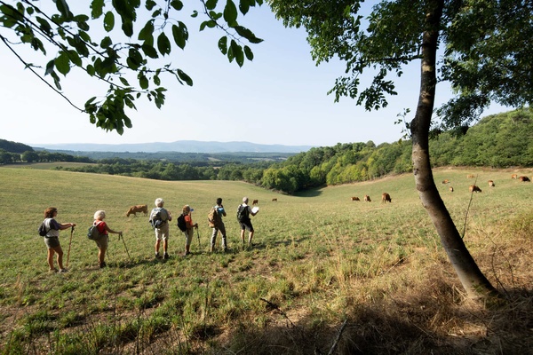 Self-guided hiking on the Camino de Santiago : from Aumont-Aubrac to Conques