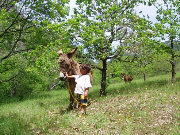 randonnée avec un âne avec enfants