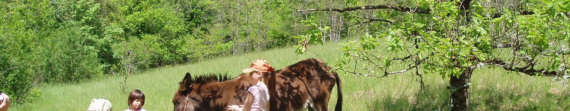 Randonnées avec un âne | Nature Occitane