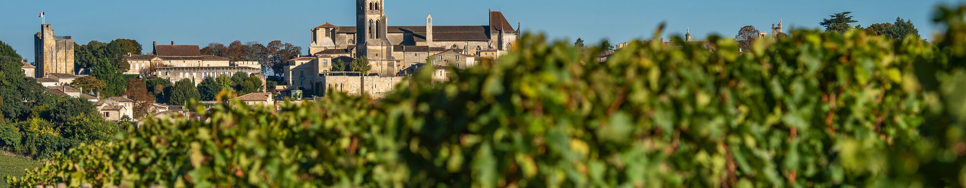 Booking form - The road of the great wines of Bordeaux | Nature Occitane