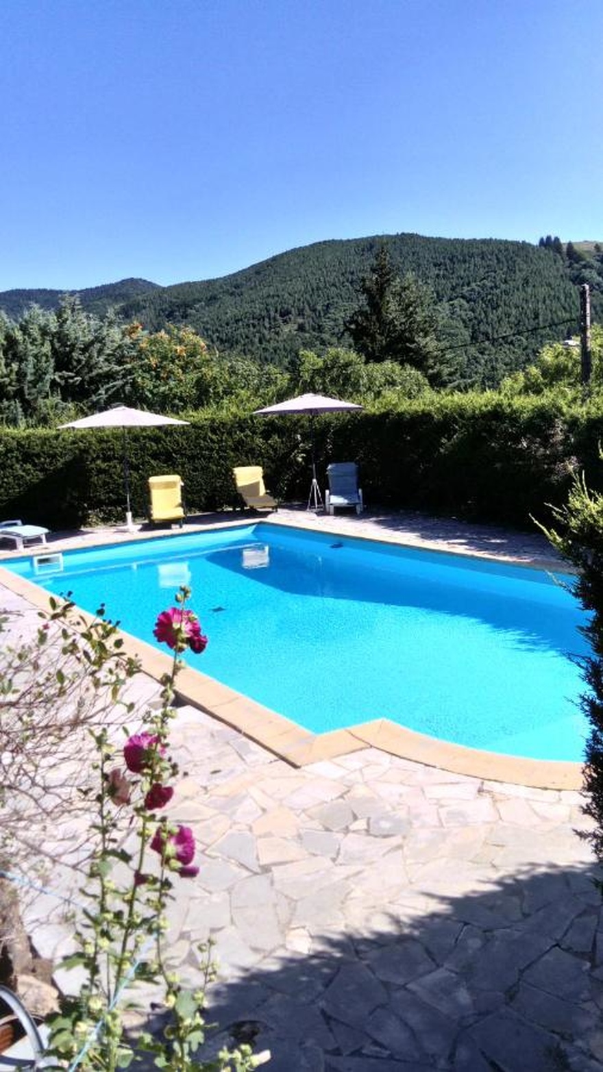 maison d'hôtes avec piscine pour votre séjour dans les Cévennes
