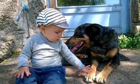 séjour à la ferme dans les cévennes en occitanie