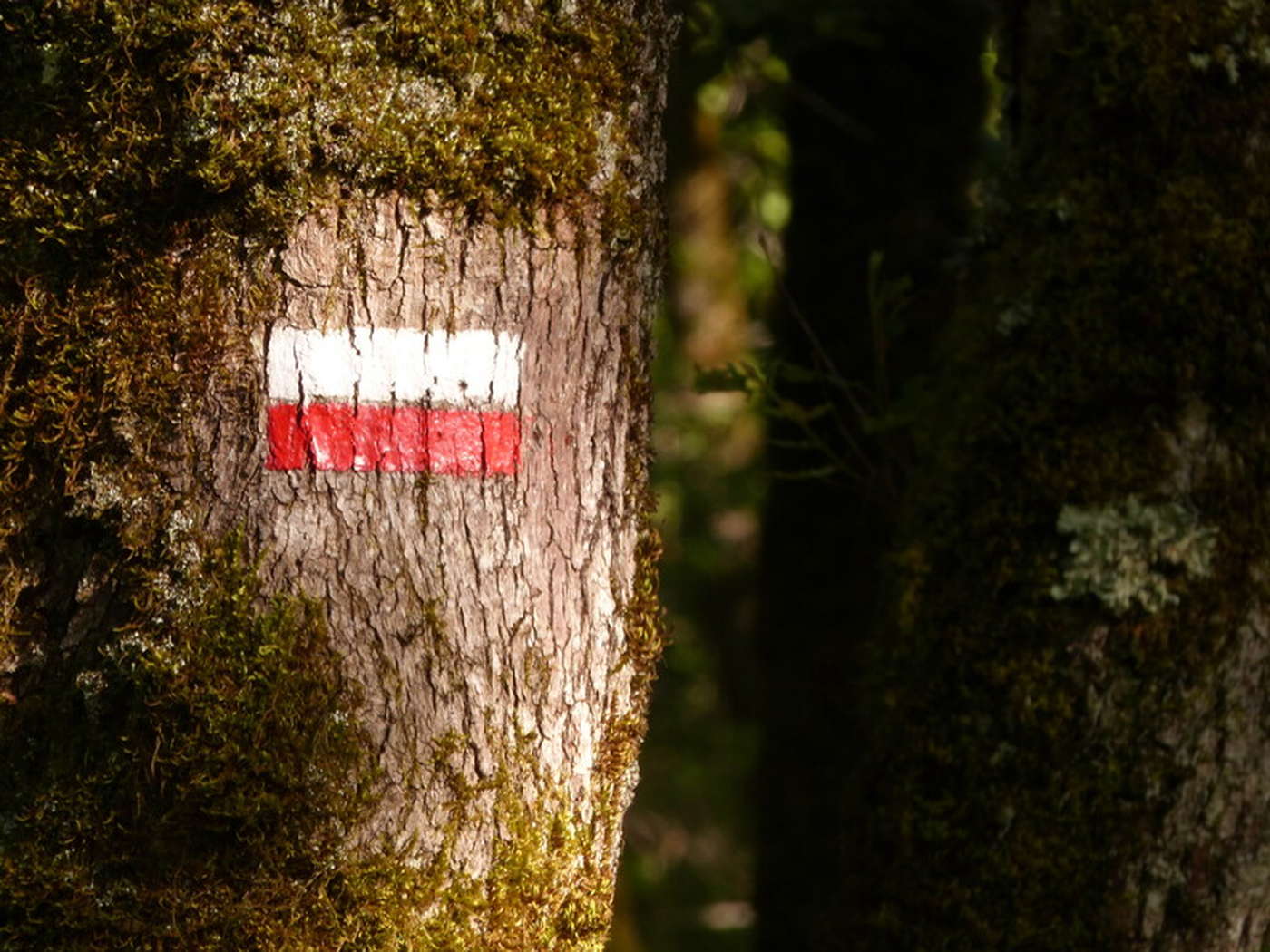 Balisage GR - Chemin de Compostelle