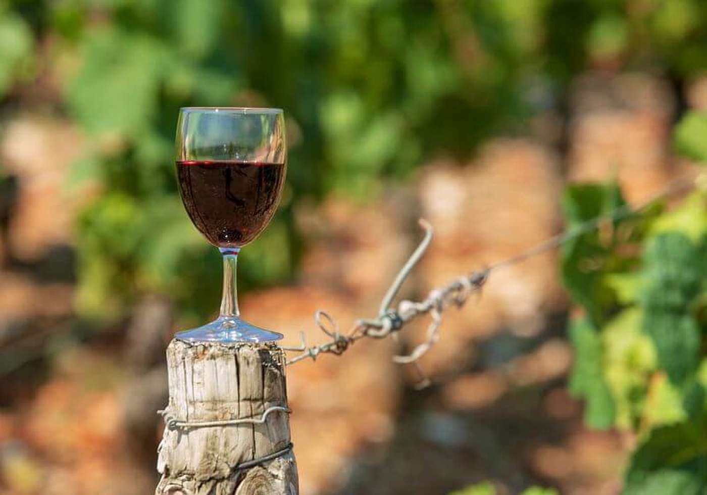 La route des grands vins de Bordeaux