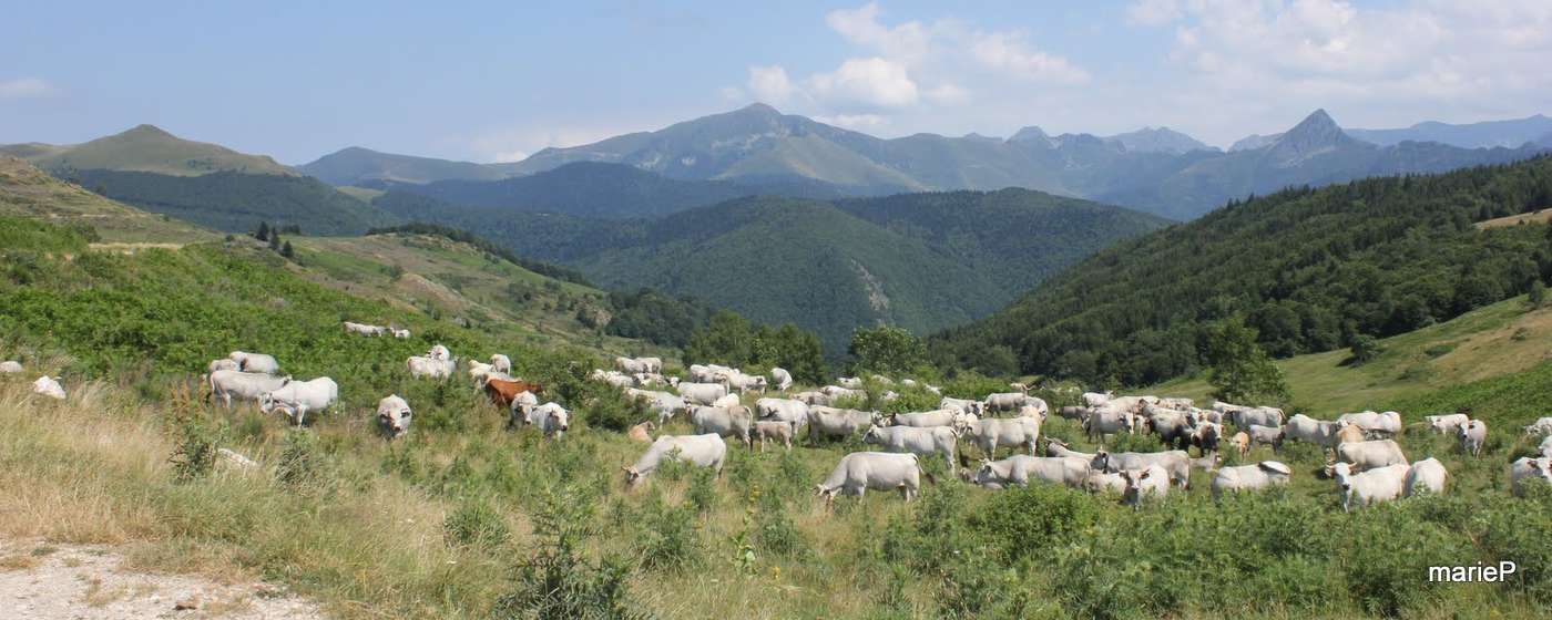 Panorama - Pyrénées Ariègeoise