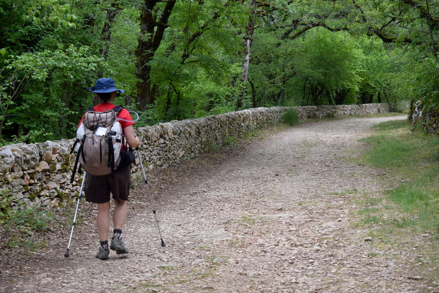 Pélerin - Chemin de Compostelle