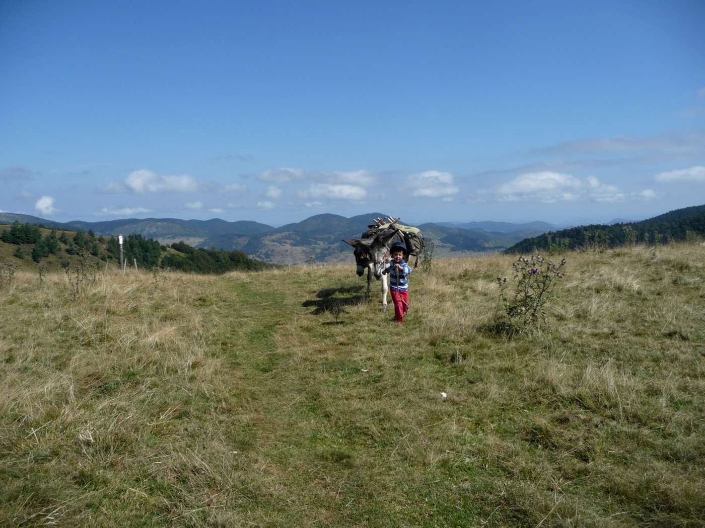 Voyage avec un âne - Pyrénées Ariègeoises