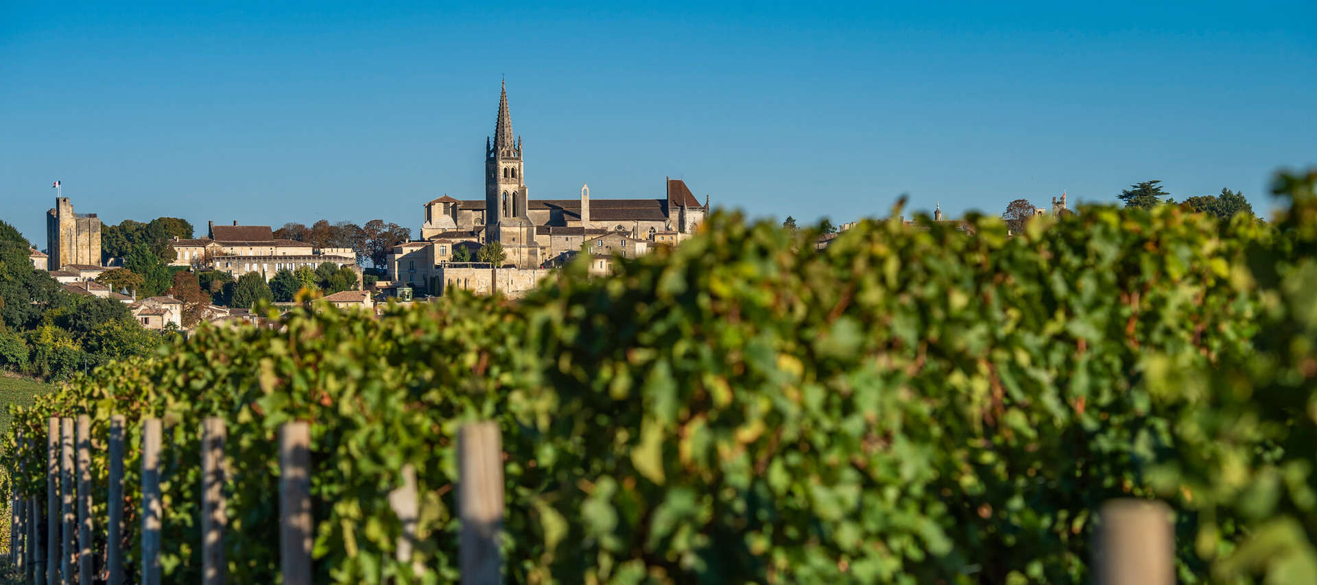 La route des grands vins de Bordeaux - Saint Emilion