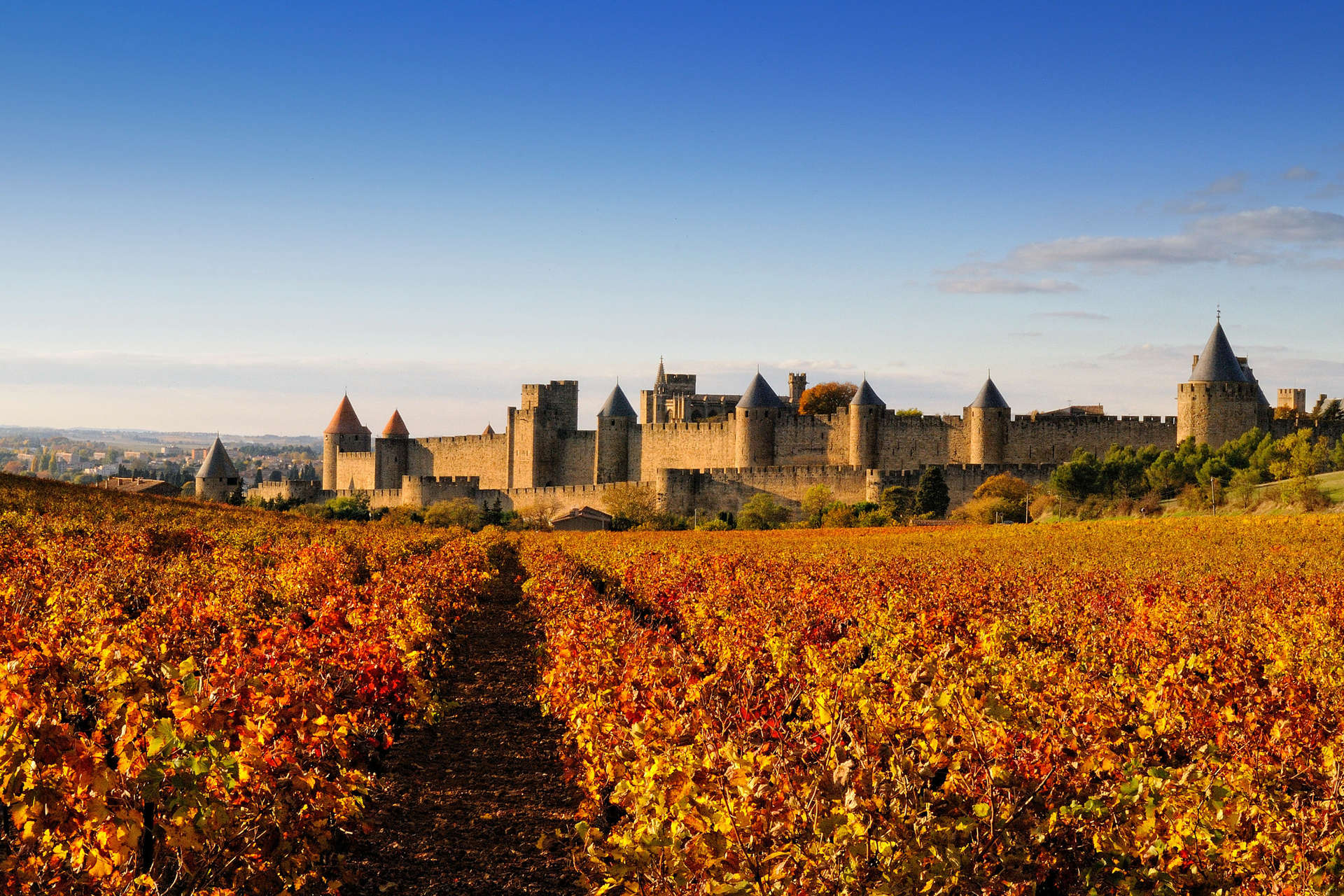 Le Canal du Midi à vélo - Carcassonne