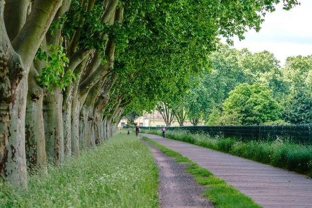 Le Canal du Midi