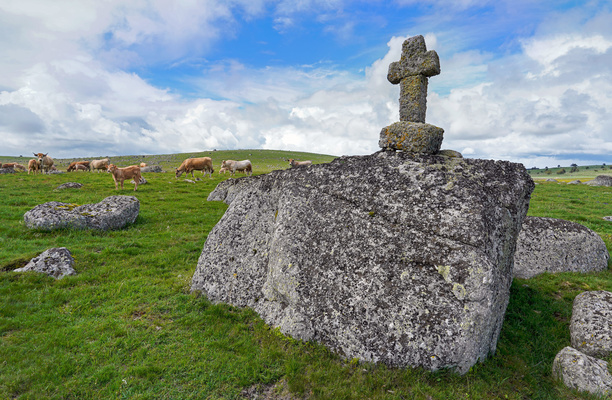 Self-guided hiking on the Camino de Santiago : from Puy-en-Velay to Aumont-Aubrac