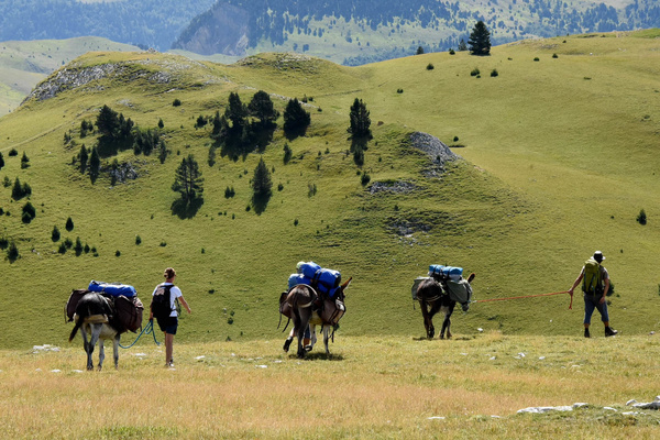 Petits Nomades en Diois - Randonnée avec un âne