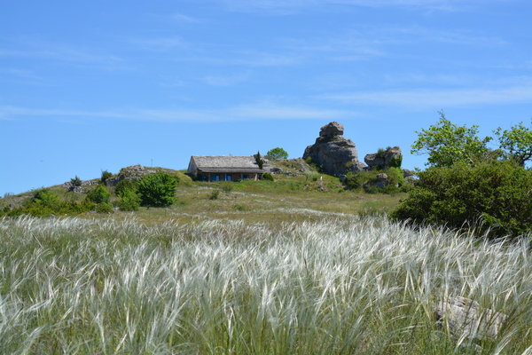 Randonnée le tour du Larzac, découverte intimiste