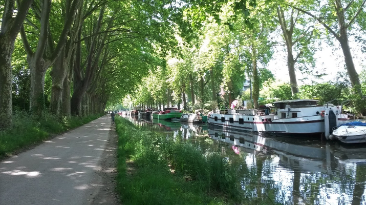 De Toulouse à Carcassonne à vélo en famille, le long du Canal du Midi (avec piscines)