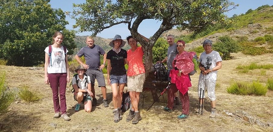 Guided walking group in the Cévennes