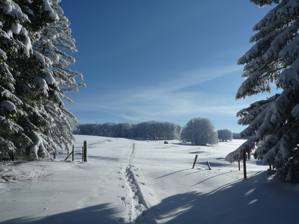 séjour sport et nature hiver massif central