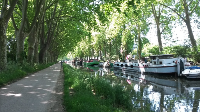 travel by bike along the canal du midi
