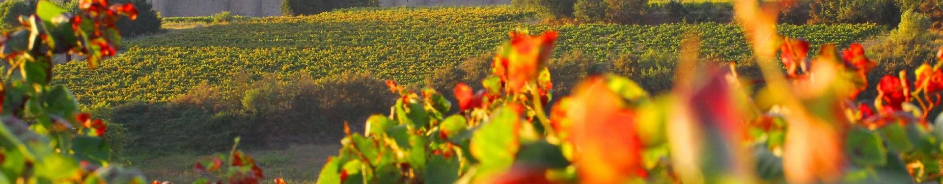 Le Canal du Midi en hébergements d'Exception  - De Toulouse à Agde, Sète ou Montpellier | Nature Occitane