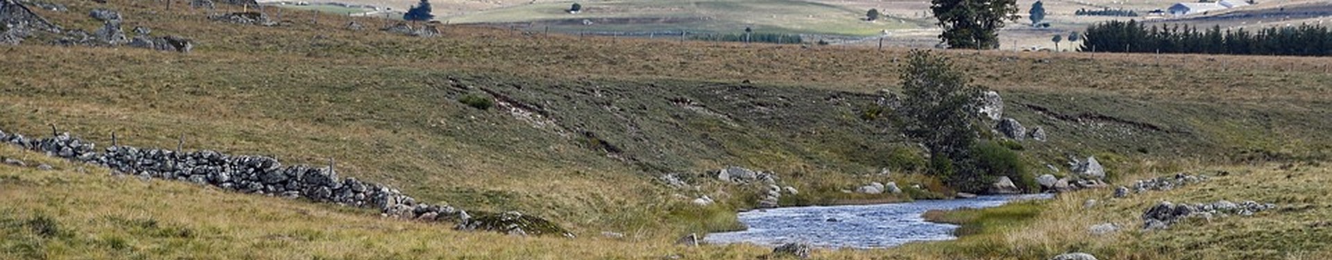Self-guided hiking on the Camino de Santiago : from Puy-en-Velay to Aumont-Aubrac | Nature Occitane