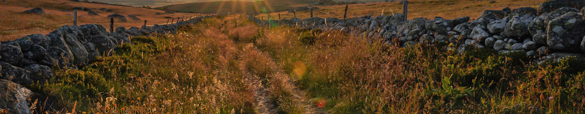 Le Chemin de Compostelle en rando liberté : D'Aumont-Aubrac à Conques | Nature Occitane