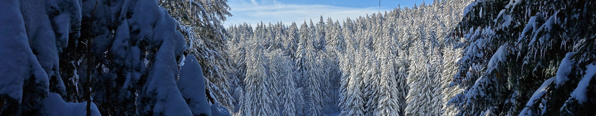 Petits Trappeurs du Vercors | Nature Occitane