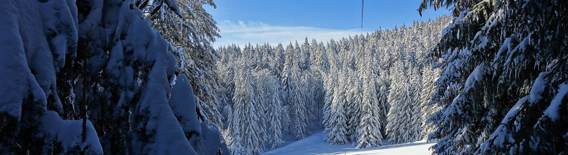 Nature Occitane - Séjours de randonnées, nature & écotourisme