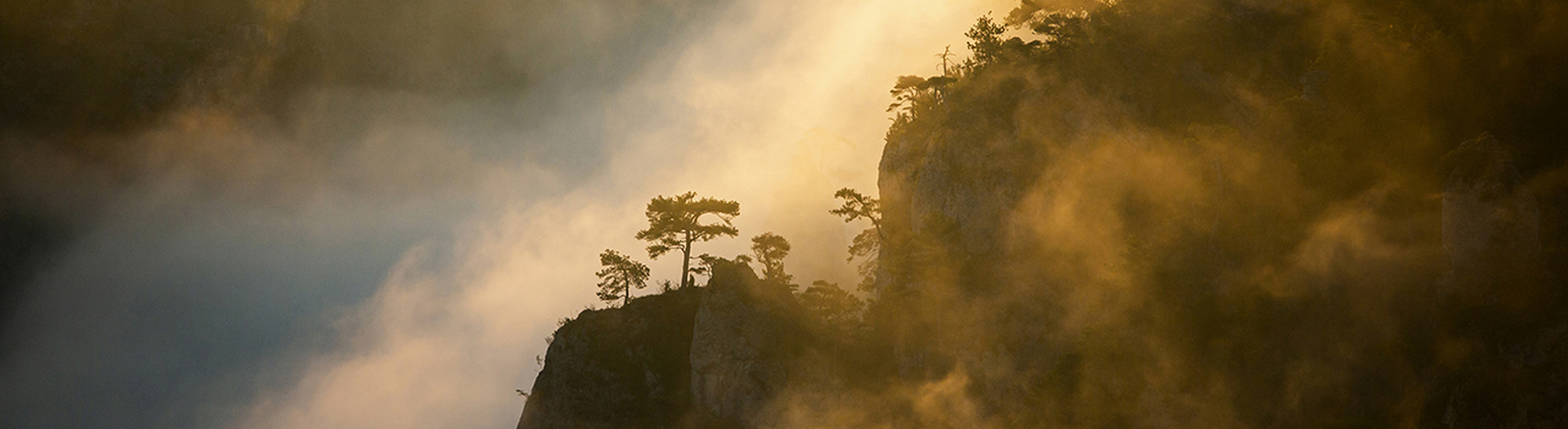 Nature Occitane - Séjours de randonnées, nature & écotourisme
