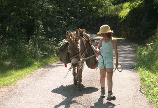 Randonnée dans les les gorges de l'Ardèche avec un âne