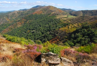 L'Étoile des Cévennes (séjour en hôtel avec piscine)
