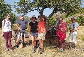 Star of the Cévennes - Guided walking trip