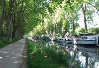 From Toulouse to Carcassonne with the family by bike,  along the Canal du Midi (with pools)