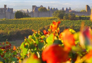 De Carcassonne à Collioure: Sur la route des Vins du Canal du Midi à la Méditérranée