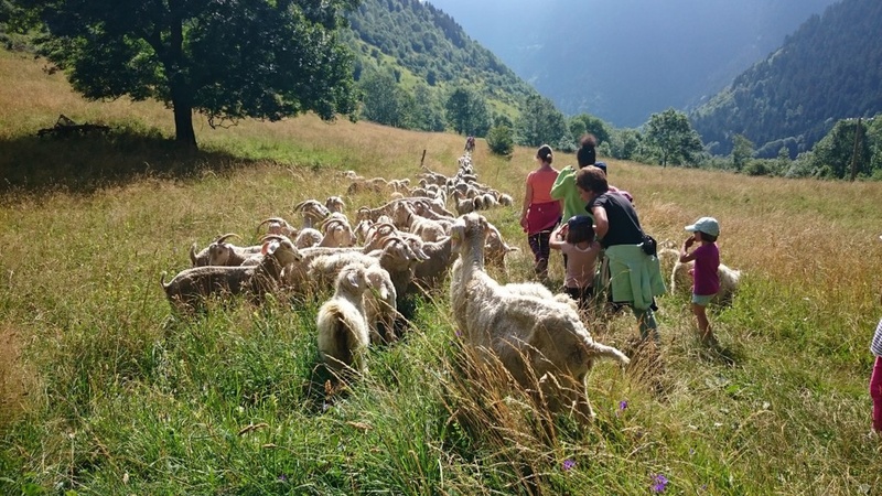 Séjour multiactivité en famille