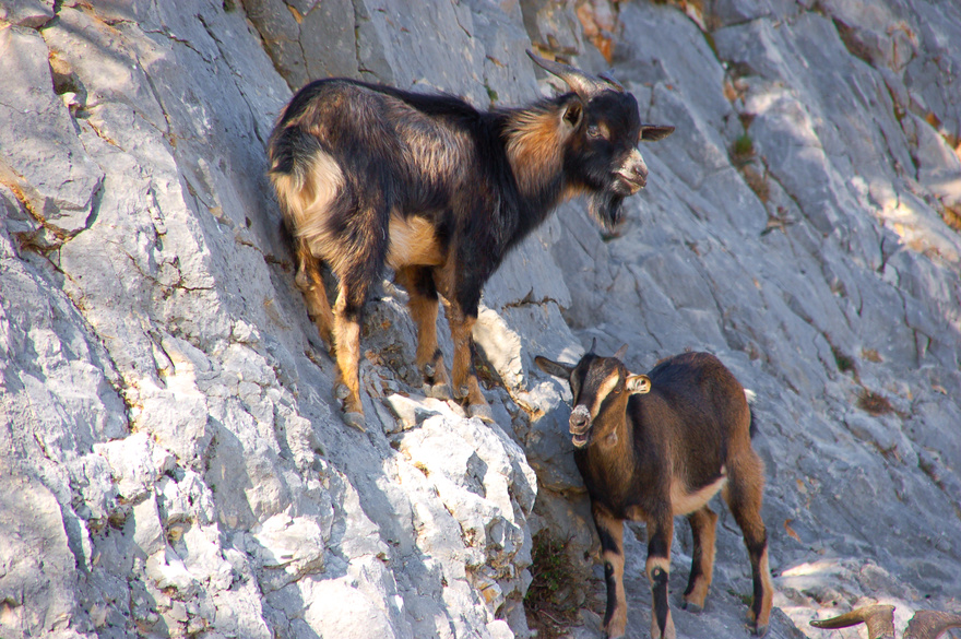 ardeche-ane-famille-vacances-enfants-ado-rando-nature-occitane