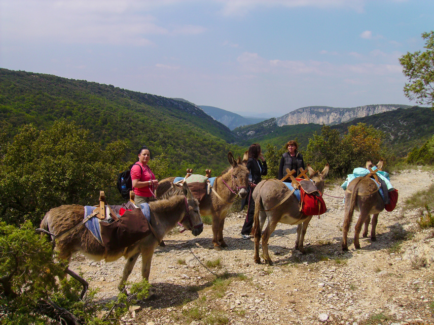 ardeche-ane-vacances-famille-voyage-rando