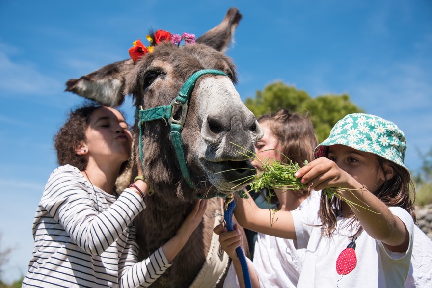 ardeche-ane-famille-vacances-enfants-ado-rando-nature-occitane