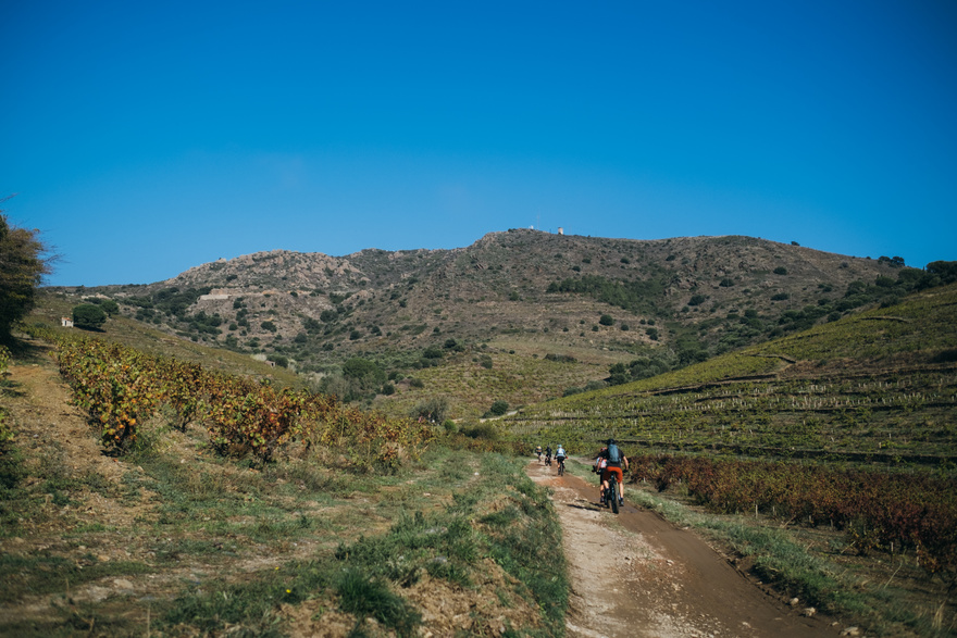 séjour-velo-liberte-france-catalogne-vignes-nature