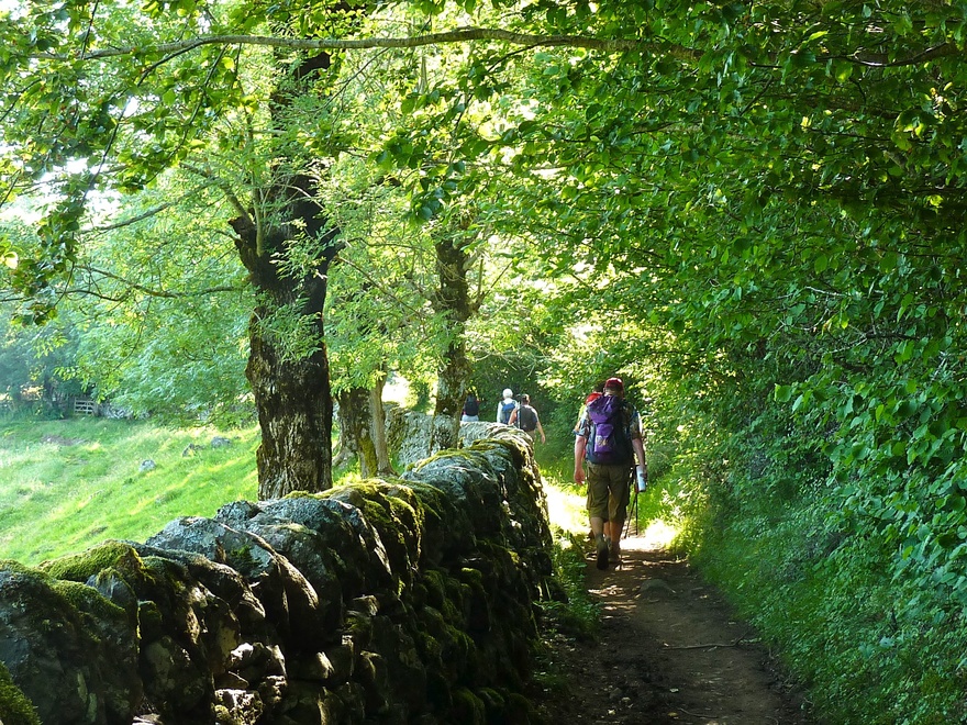 compostelle-randonnee-demi-pension-gite-pique-nique