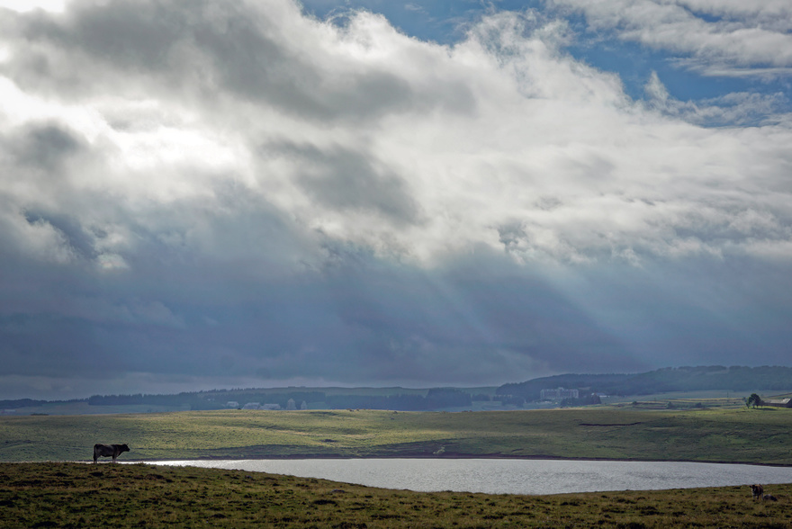 aubrac-terroir-france-paysages-randonnee-marche