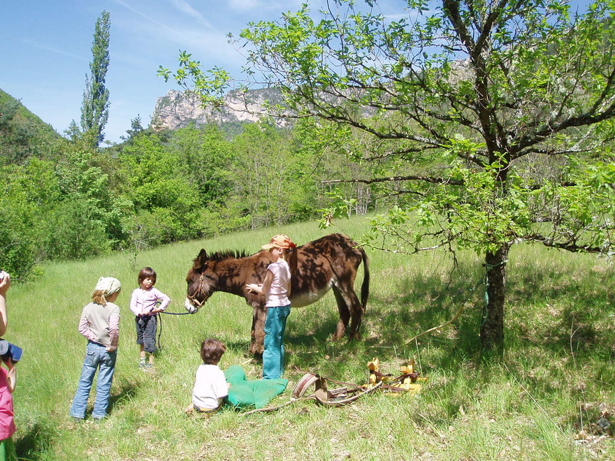 randonnée-famille-âne-cévennes-liberte-randonnee-pedestre-famille-animaux-enfants-balade-nature-france