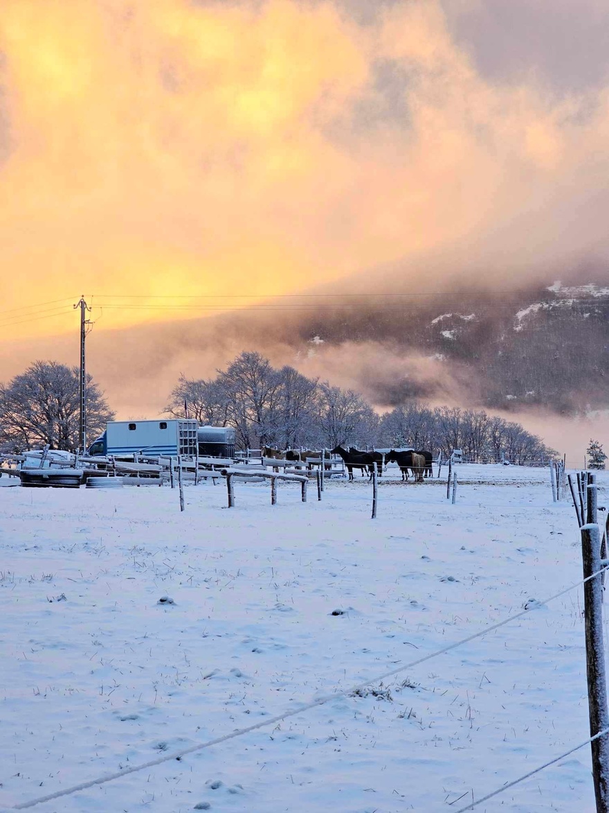 ranch-hiver-famille-neige-chiens-chevaux-activites-sport-nature-occitane