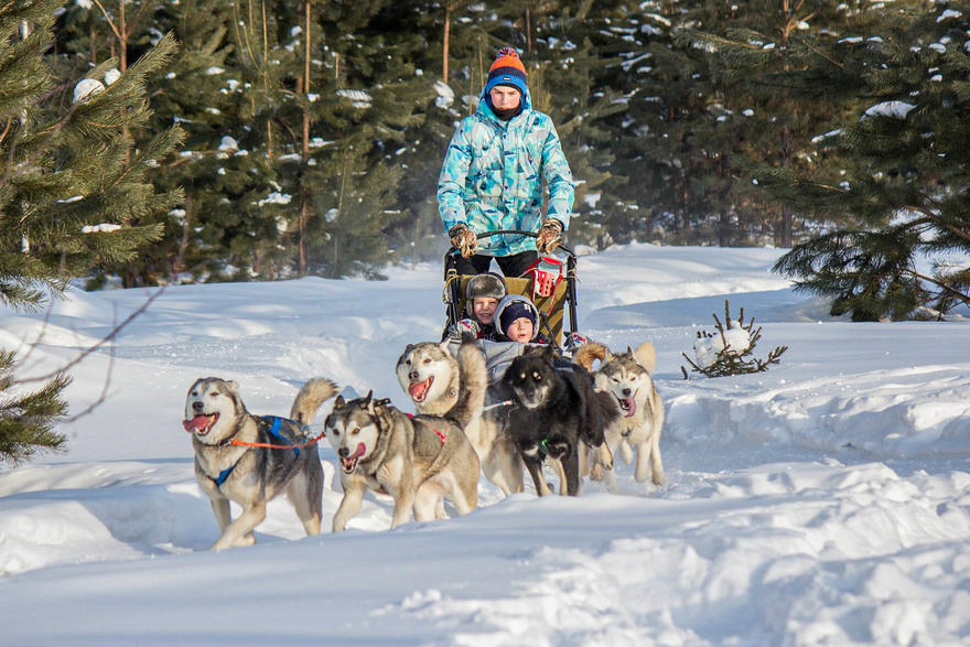 séjour-multi-activités-vercors-hiver-trappeur-traineau-neige-ski-enfant-montagne-igloo-groupe-traineau-chalet-neige