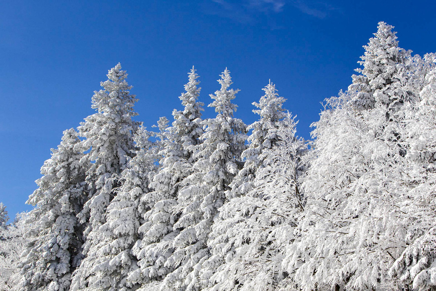 séjour-multi-activités-vercors-hiver-trappeur-traineau-neige-ski-enfant