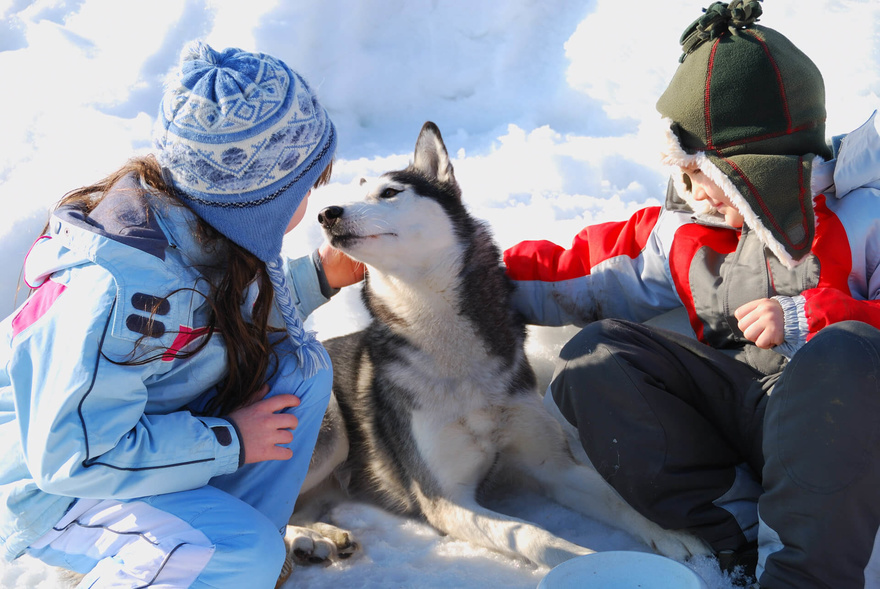 séjour-multi-activités-vercors-hiver-trappeur-traineau-neige