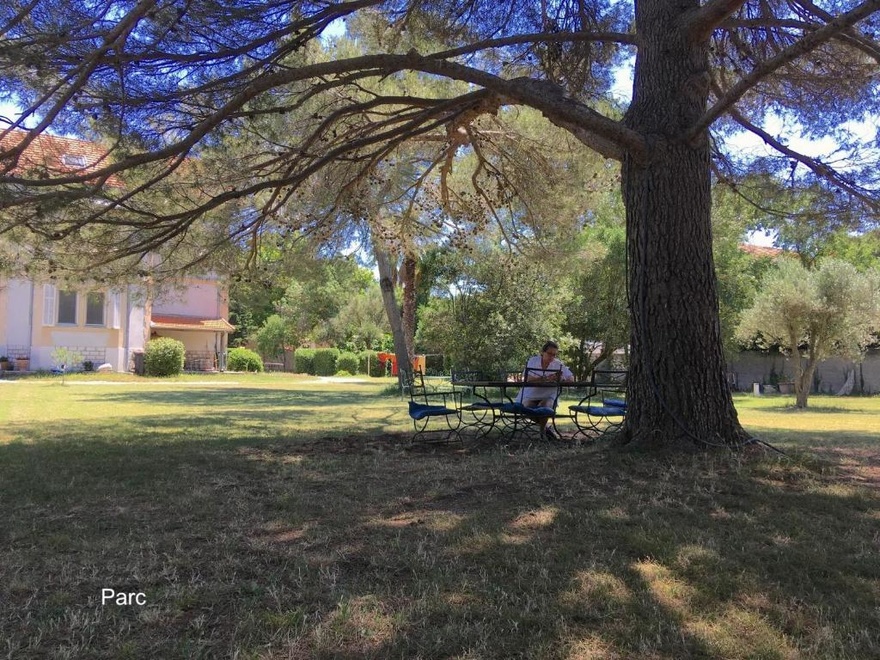 Espace extérieur - Un nid en Camargue