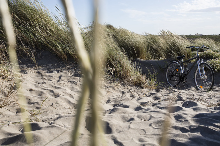 location-velo-sable-camargue