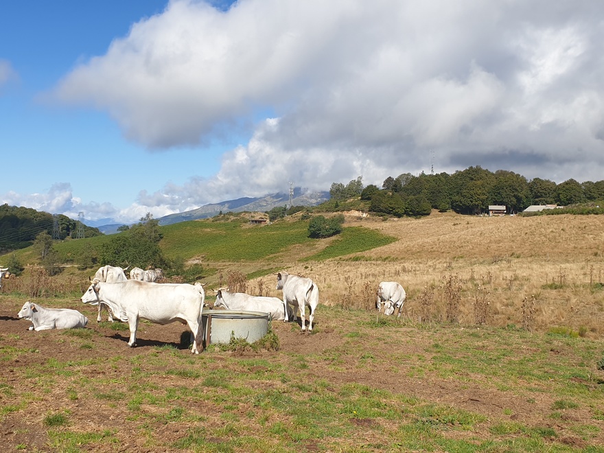 chemins-de-montagne-nature-et-detente-hebergement-en-pleine-nature-famille