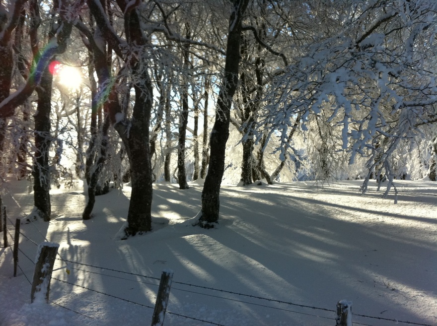 séjour-hiver-raquettes-aubrac-nature-france-sport-aveyron-lozere-montagne-accompagne-hivernale-neige