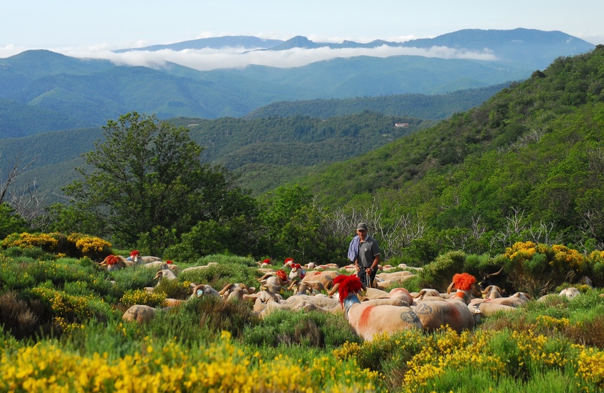 randonnee-pied-cevennes-nature-france-etoile-auberge-piscine-avec-guide